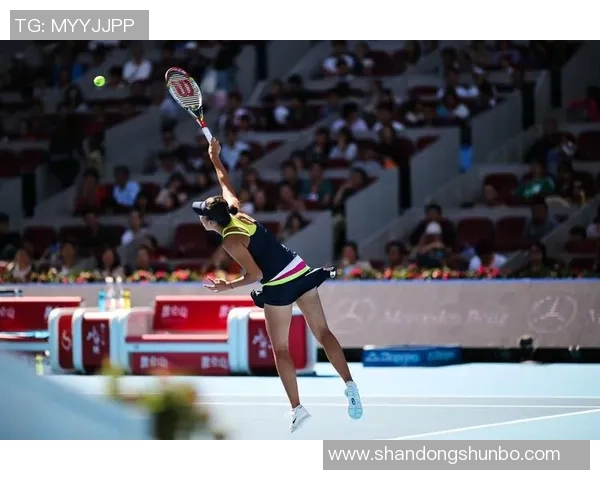 北京网球队的训练与比赛状态全景揭秘展现网球巨献的背后故事与未来展望