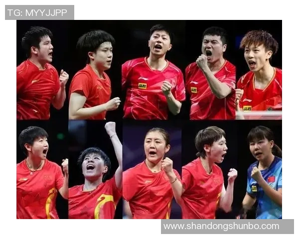 南京乒乓球队个人能力深度对比分析与未来发展趋势探讨