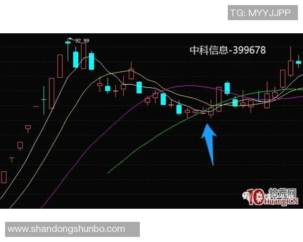 南京篮球队灵活性分析与战术创新的深度探讨